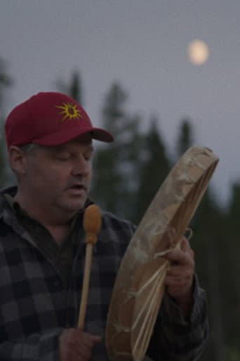 Dans la forêt