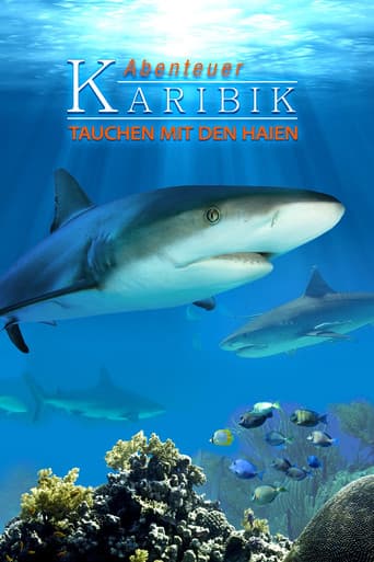 Abenteuer Karibik 3D: Tauchen Mit Den Haien