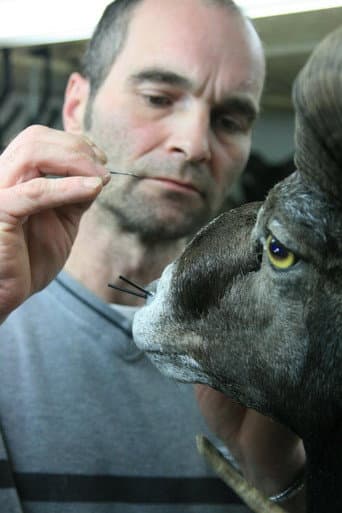 Taxidermist