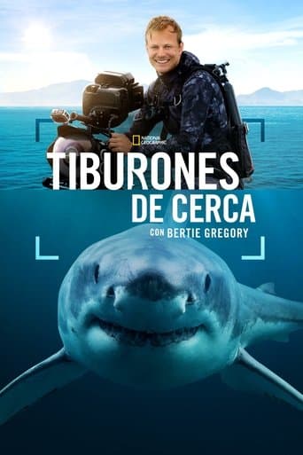 Tiburones De Cerca Con Bertie Gregory