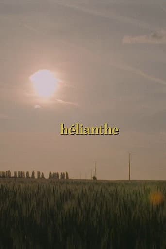 Hélianthe