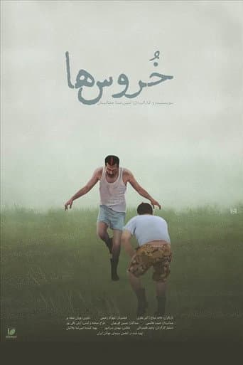 خروس‌ها