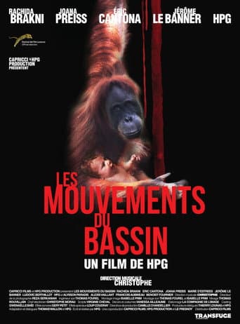 Les Mouvements du bassin