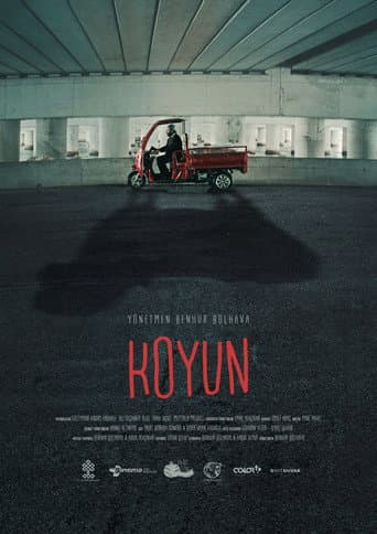 Koyun