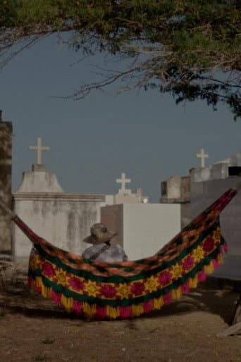 Los sueños viajan con el viento