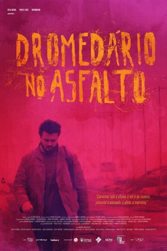 Dromedário no Asfalto