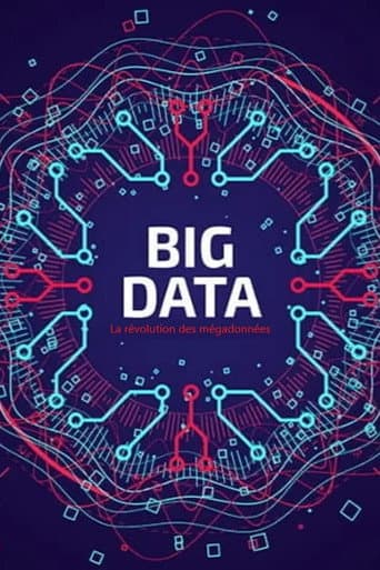 Big Data - La révolution des mégadonnées
