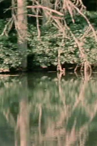 Porter Springs 3
