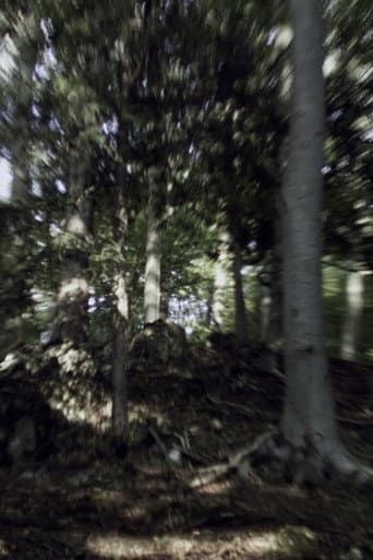 VERTIGO RUSH