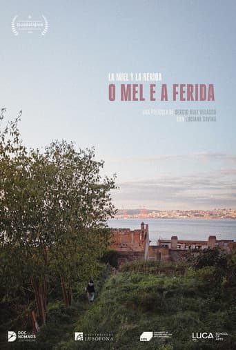La miel y la herida