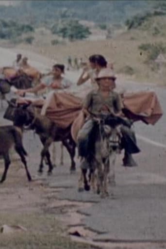 Ciganos do Nordeste