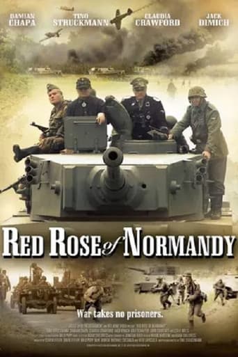 Red Rose of Normandy Rosa Roja de Normandia