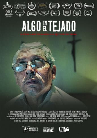 Algo en el tejado