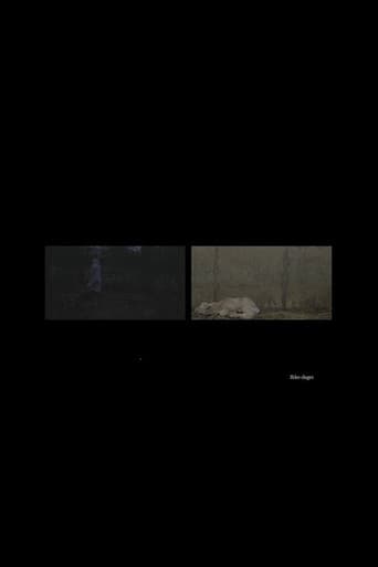 Ikke-dager