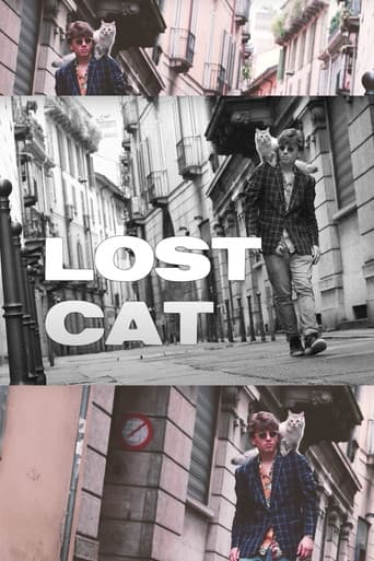 Lost Cat