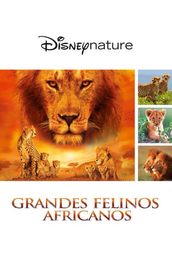 Felinos de África
