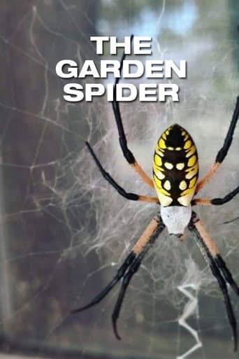 Epeira Diadema