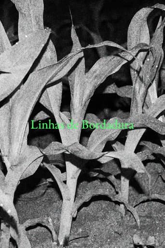 Linhas de Bordadura