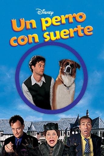 Un perro con suerte