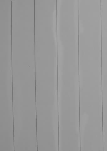 Tarian Garis (Dance of Lines)