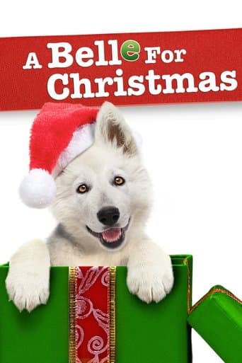 Un perro en Navidad