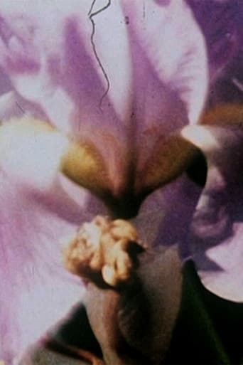 Fleurs sans titre