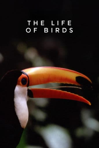La vida de las aves