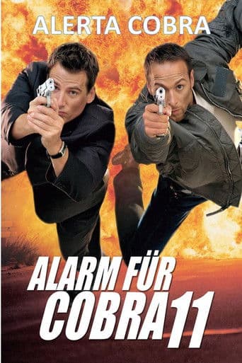 Alarma para cobra 11
