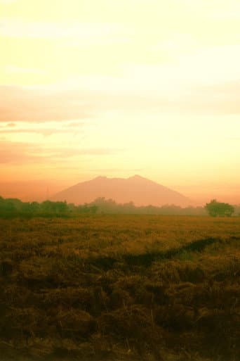 Irik ng Lunggati