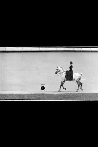 Cheval Bai, Monté par Thérèse Rentz, Petit Galop