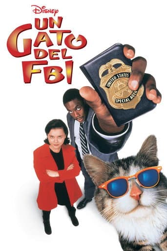 Un gato del F.B.I.