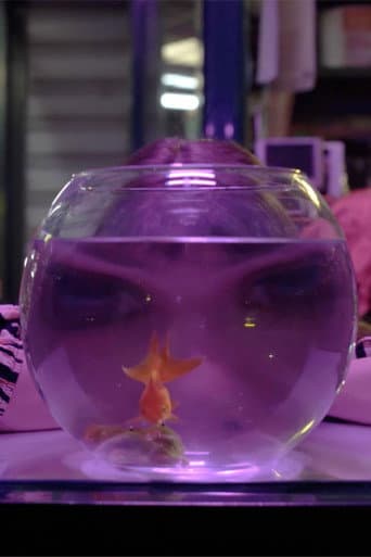 Baby Moon Park