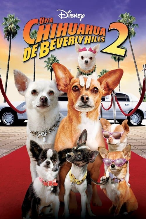 Una chihuahua de Beverly Hills 2