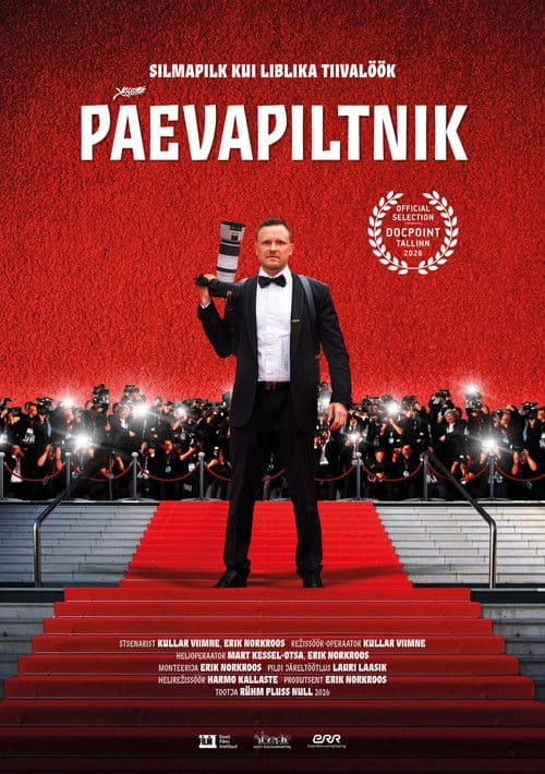 Päevapiltnik