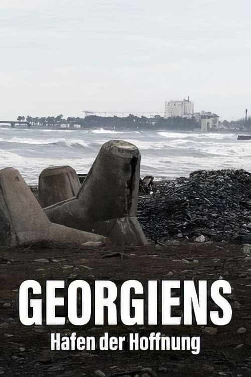Géorgie - Le port de tous les enjeux