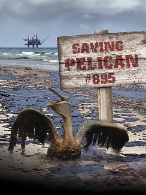Salvando al Pelícano 895