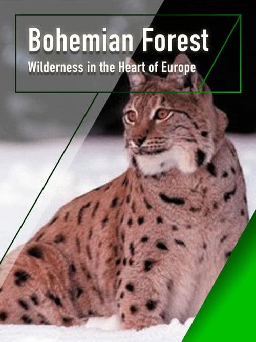 Böhmerwald - Wildnis im Herzen Europas