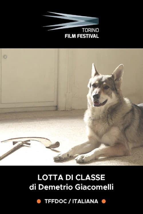 Lotta di Classe - Il cinema dei ragazzi di Emilio Sidoti