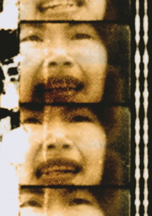 紙映画