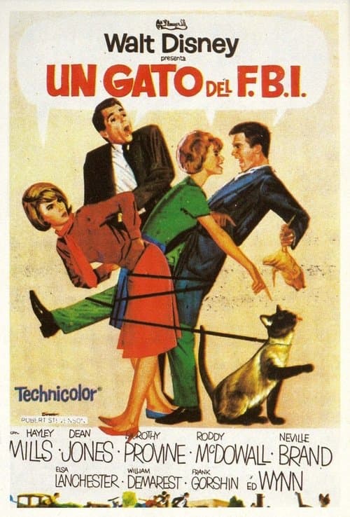 Un gato del F.B.I.