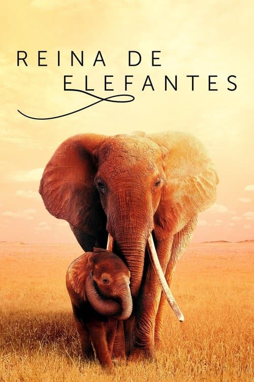 The Elephant Queen