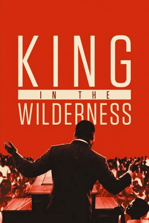 La Lucha Pacífica De Martin Luther King