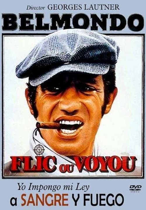Flic ou Voyou