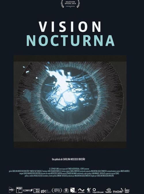 Vision nocturna