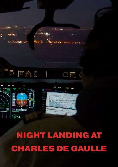 Night Landing At Charles De Gaulle