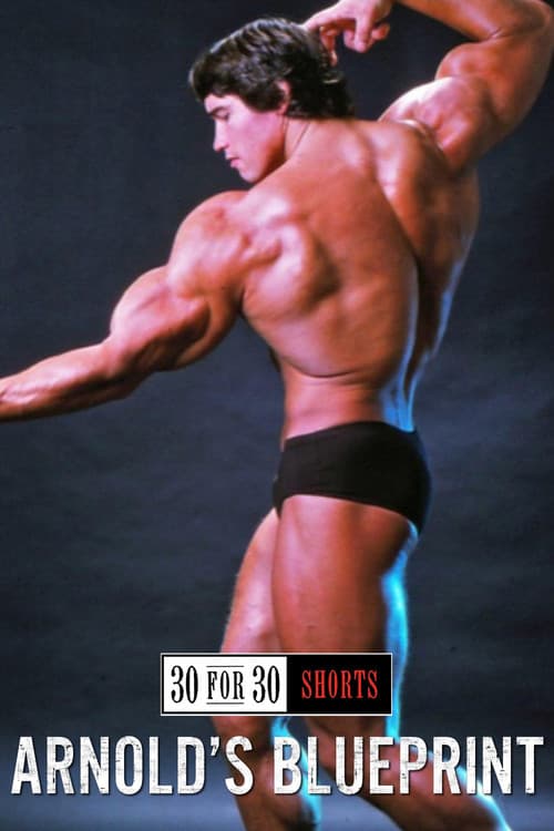 Arnold's Blueprint