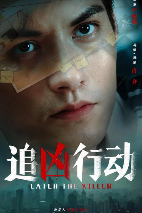 追凶行动