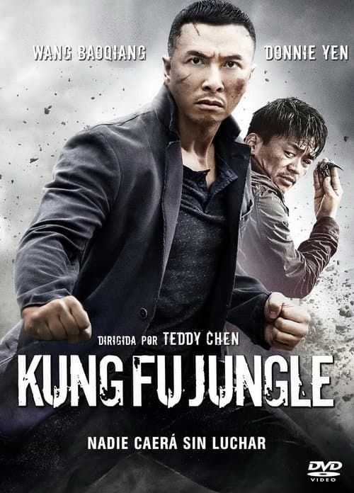 Asesino Kung Fu