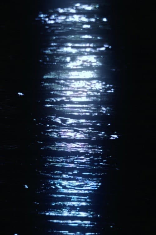 December Lights