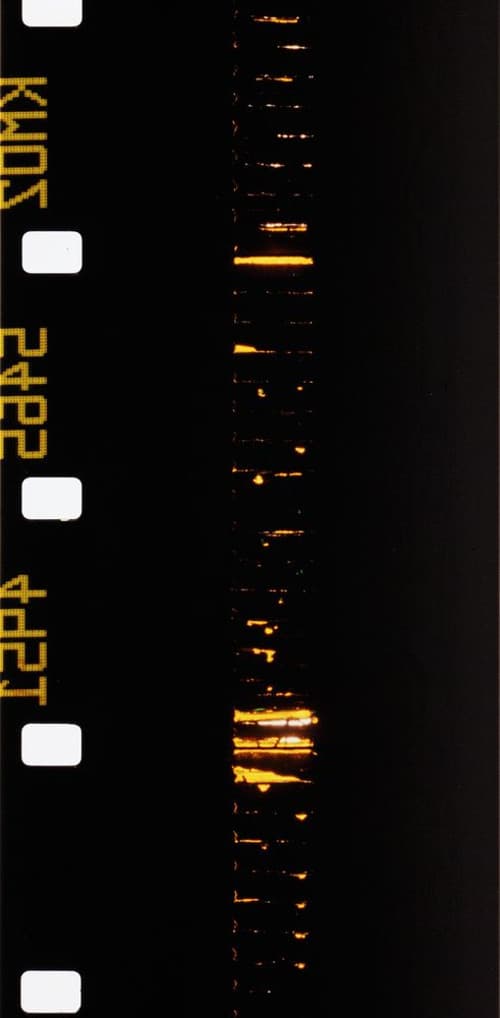 Film sans caméra STST